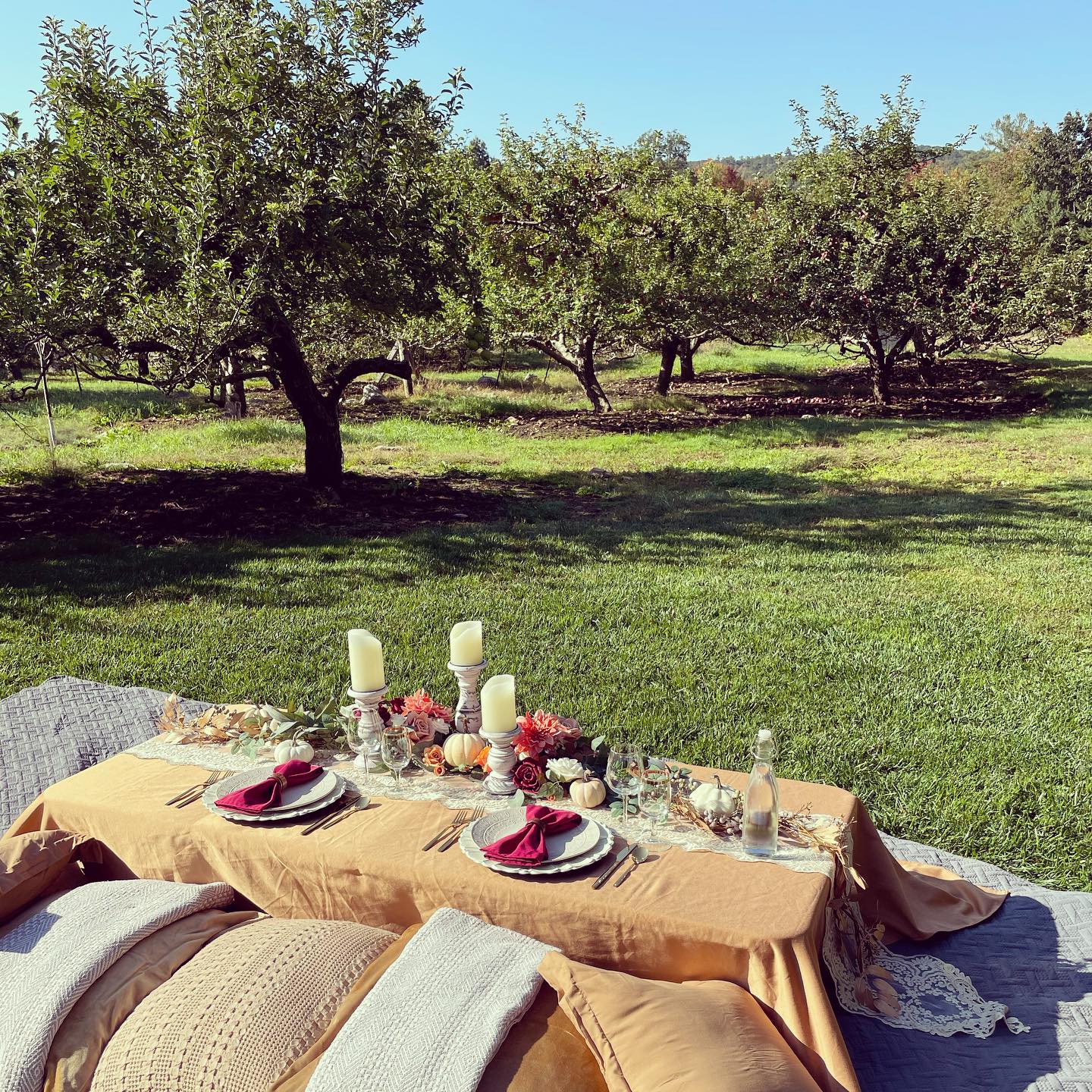 Picnics 1