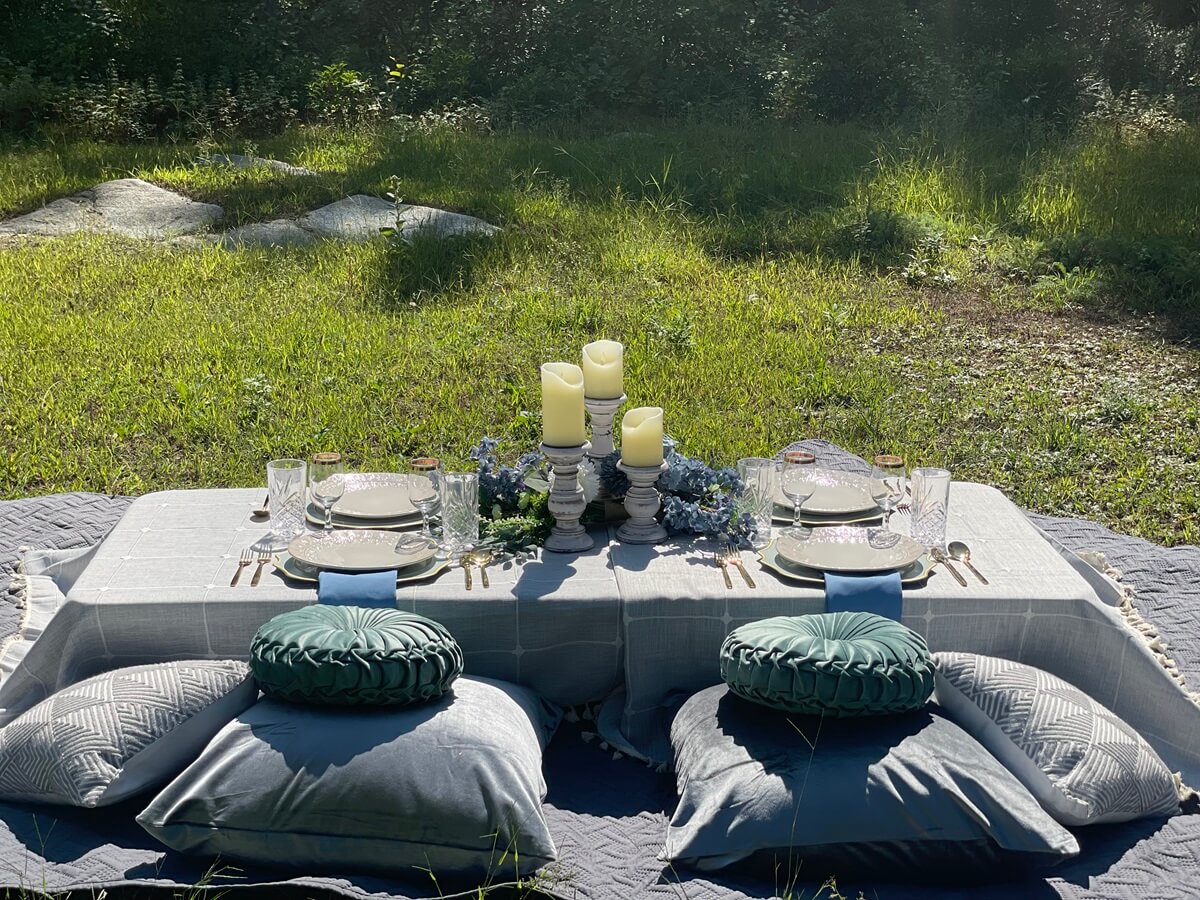 Picnics 7